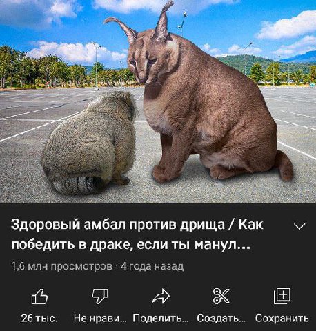 Здоровый амбал против дрища Как победить в драке, если ты манул... 1,6 млн просмотров 4 года назад 26 тыс. Не нрави... Поделить... Создать... Сохранить