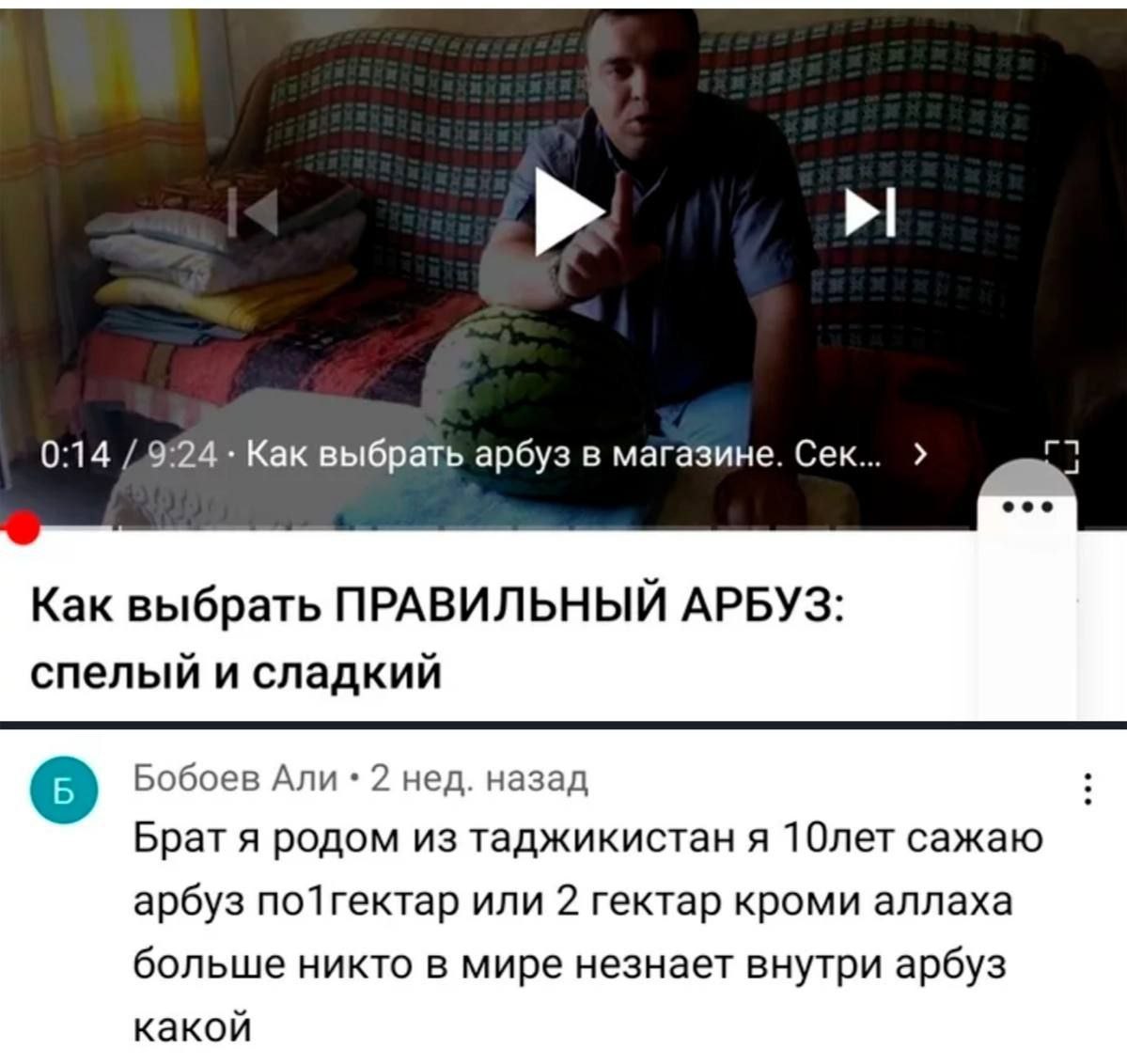 0:14 /.9:24 Как выбрать арбуз в магазине. Сек... Как выбрать ПРАВИЛЬНЫЙ АРБУЗ: спелый и сладкий Бобоев Али 2 нед. назад Брат я родом из таджикистан я 10лет сажаю арбуз или 2 гектар кроми аллаха больше