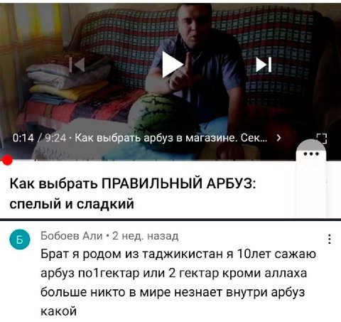 0:14 /.9:24 Как выбрать арбуз в магазине. Сек... Как выбрать ПРАВИЛЬНЫЙ АРБУЗ: спелый и сладкий Бобоев Али 2 нед. назад Брат я родом из таджикистан я 10лет сажаю арбуз или 2 гектар кроми аллаха больше