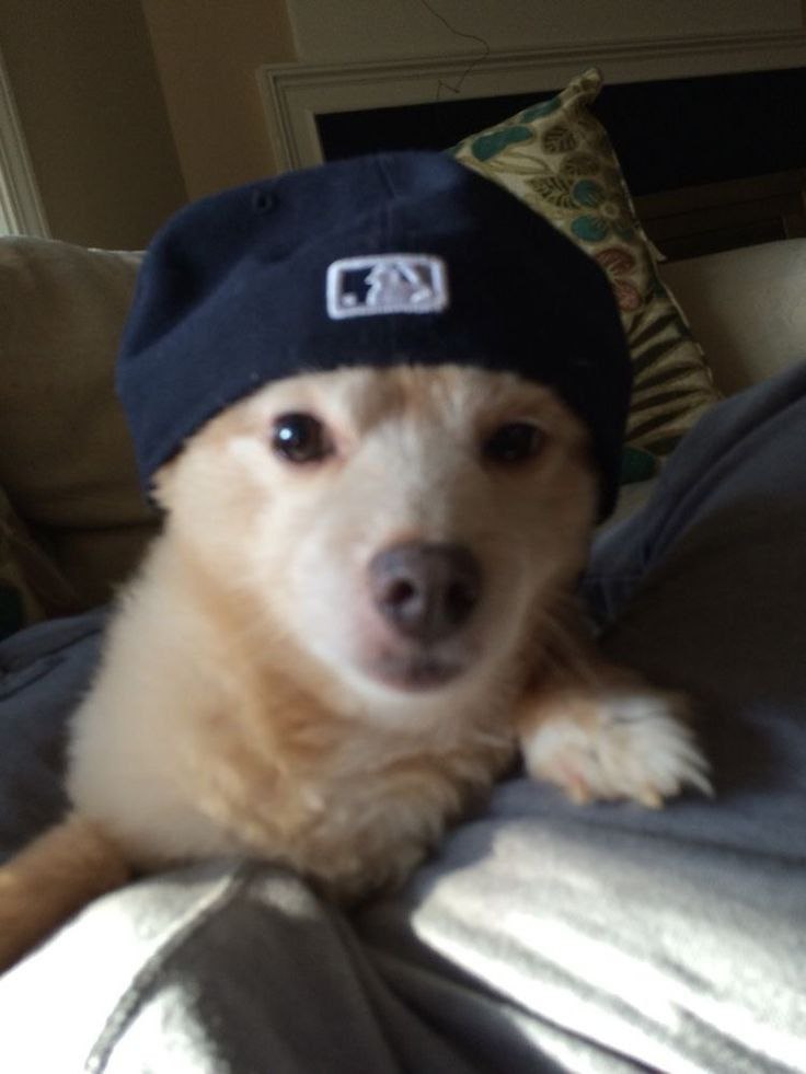 fred dogst friday.