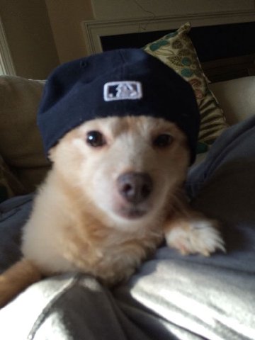 fred dogst friday.
