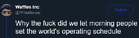 Waffles Inc Why the fuck did we let morning people set the world’s operating schedule