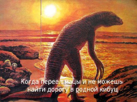 4 Когда и не можешь найти дорогу в родной кибуц