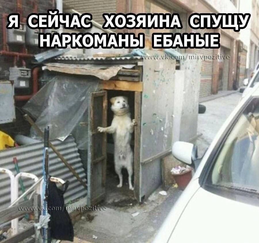 Я ХОЗЯИНА СПУЩУ НАРКОМАНЫ ЕБАНЫЕ