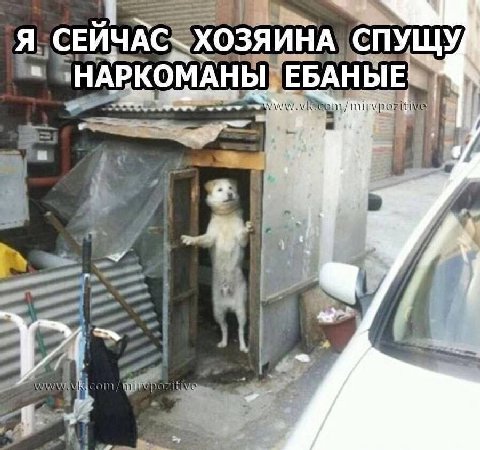 Я ХОЗЯИНА СПУЩУ НАРКОМАНЫ ЕБАНЫЕ