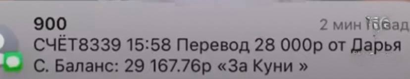 900 2 мин СЧЕТ8339 15:58 Перевод 28 от Дарья С. Баланс: 29 «3a Куни