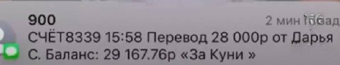 900 2 мин СЧЕТ8339 15:58 Перевод 28 от Дарья С. Баланс: 29 «3a Куни