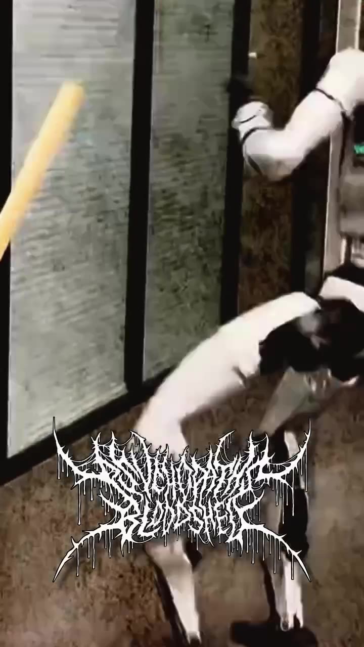 ААА СОНИК