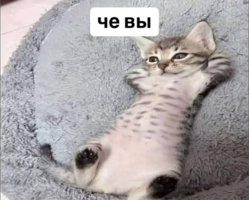 че ВЫ 4 at