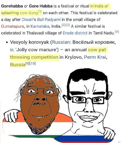 Gorehabba Gore Habba is a festival or ritual in India of splashing cow on each other. This festival is celebrated a day after Diwali's Padyami in the small village of Gumatapura, in Karnataka, А simil
