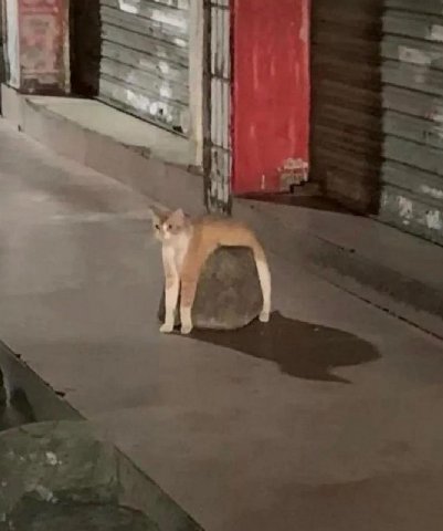 1 у 1 у