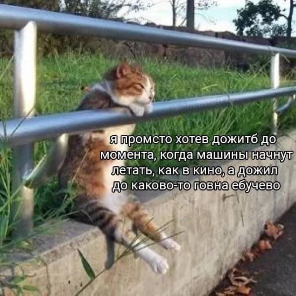 2 a хотев дожитб до момента, когда машины начнут летать, как в кино, а дожил до каково-то говна ебучево