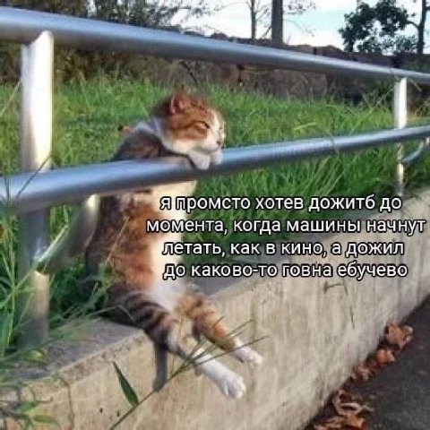 2 a хотев дожитб до момента, когда машины начнут летать, как в кино, а дожил до каково-то говна ебучево