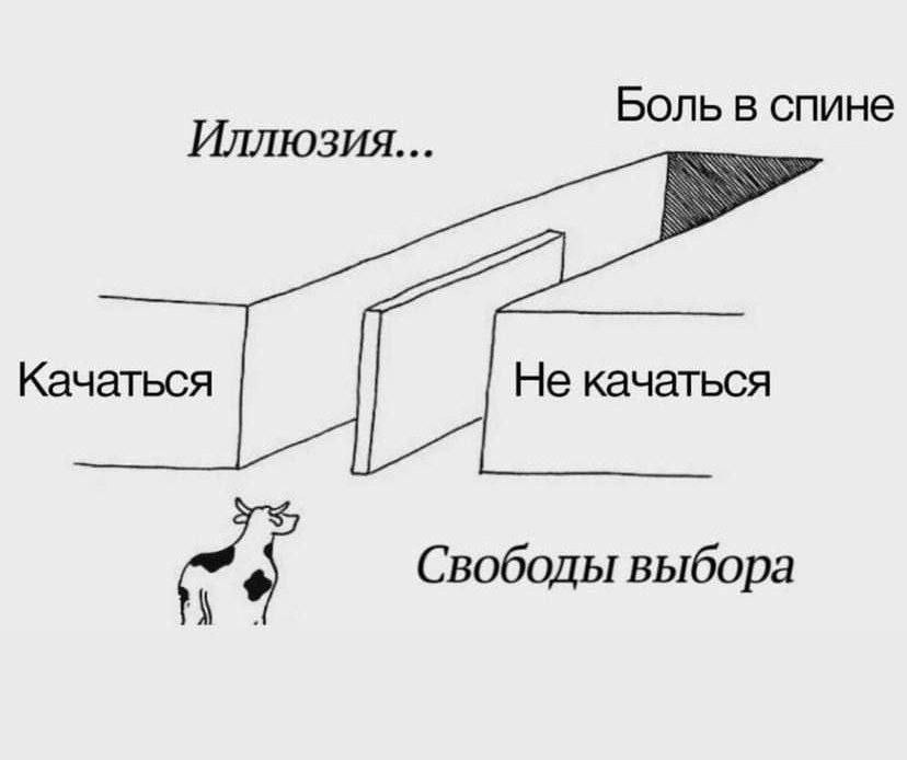 Боль в спине Иллюзия Качаться Не качаться Свободы выбора