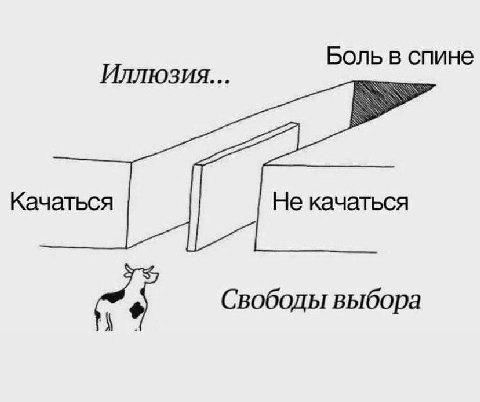 Боль в спине Иллюзия Качаться Не качаться Свободы выбора
