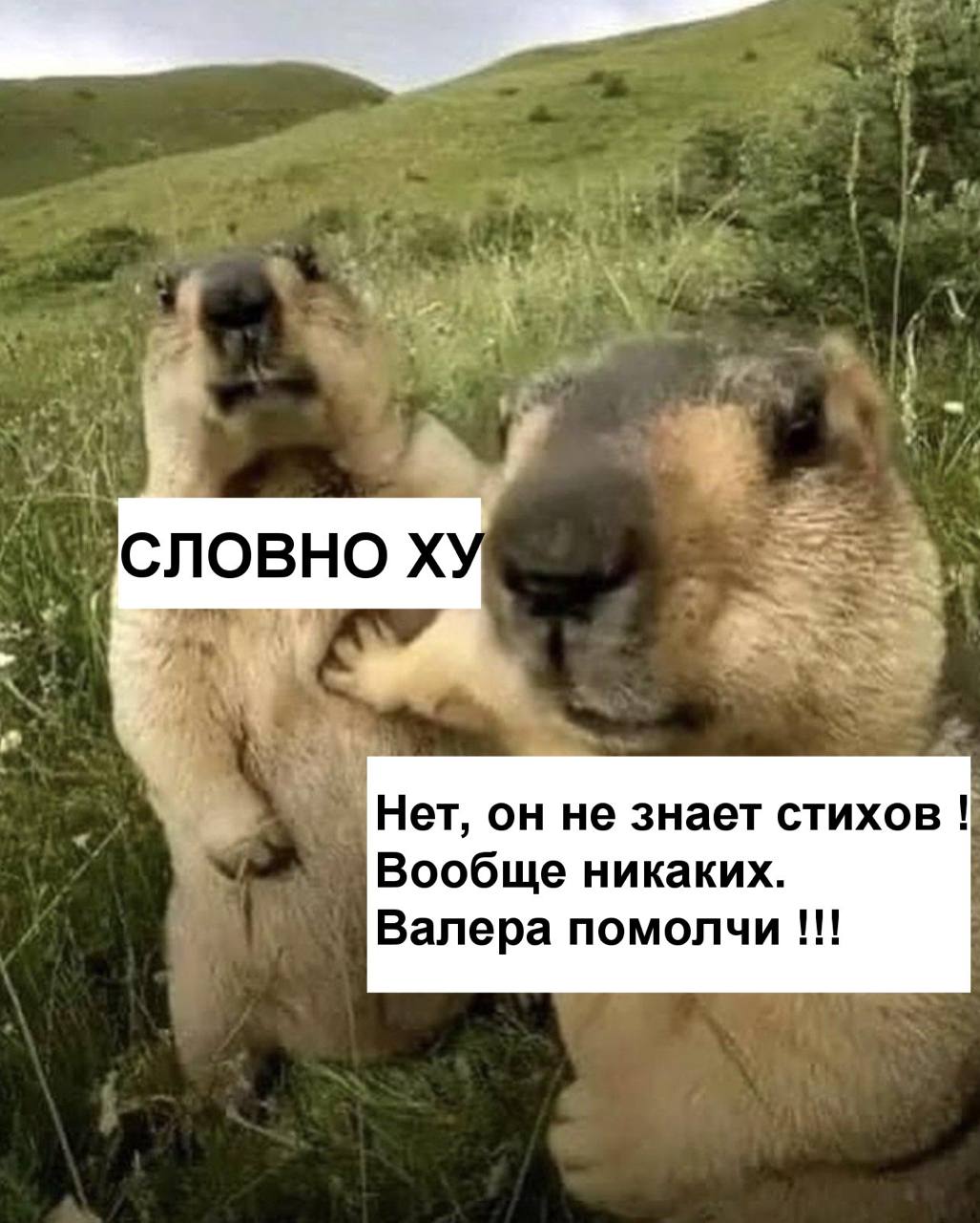 СЛОВНО Нет, он не знает стихов Вообще никаких. Валера помолчи