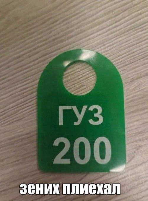зених плиехал