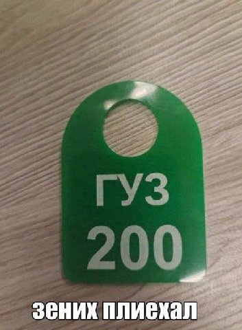 зених плиехал
