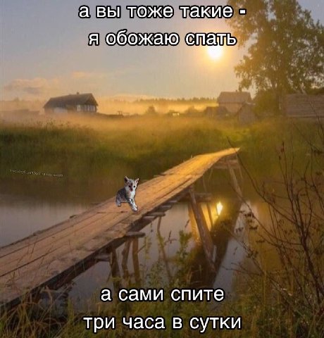 а вы тоже такие я обожаю спать а сами спите три часа в сутки