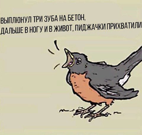 ВЫПЛЮНУЛ ТРИ ЗУБА НА БЕТОН, ДАЛЬШЕВ НОГУ ЖИВОТ, ПИДЖАЧКИ ПРИХВАТИЛИ