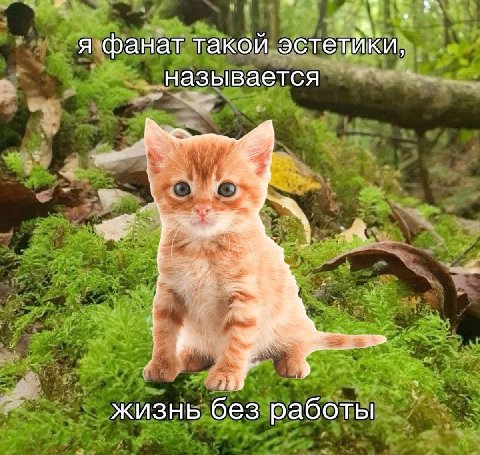 Я фанат такои эстетики, называется и 3 4 жизнь без работы