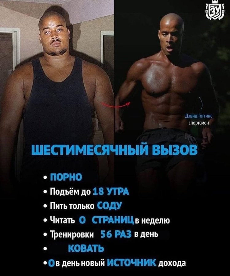Дэвид спортсмен ШЕСТИМЕСЯЧНЫЙ ВЫЗОВ ПОРНО Подъём до 18 УТРА Пить только СОДУ Читать О СТРАНИЦВ неделю Тренировки 56 РАЗ в день KOBATb деньновый ИСТОЧНИК дохода