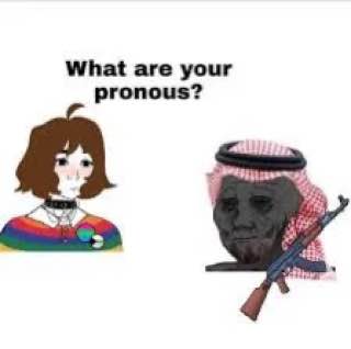 What are your pronous?