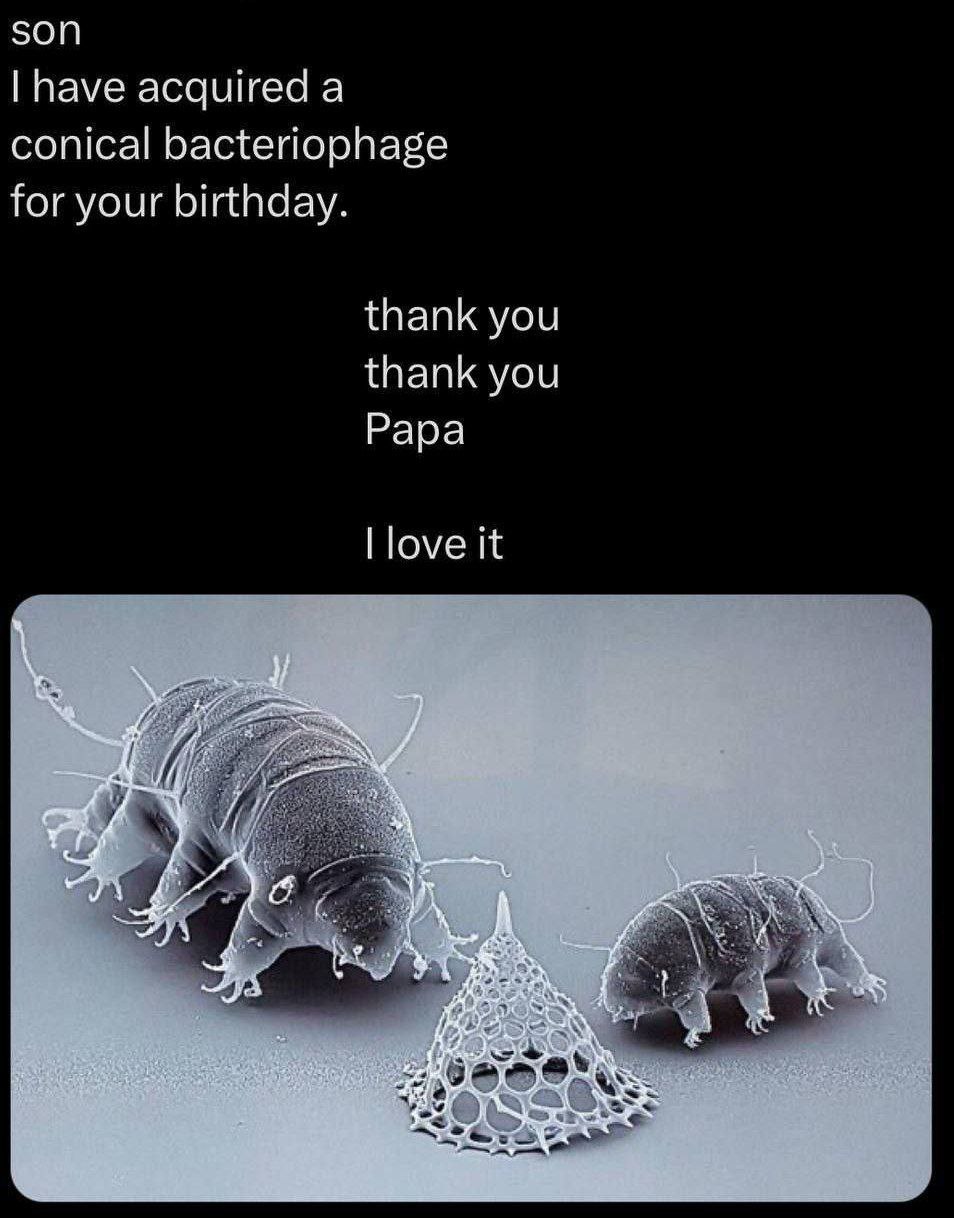 son have acquired a conical bacteriophage for your birthday. thank you thank you Papa love it