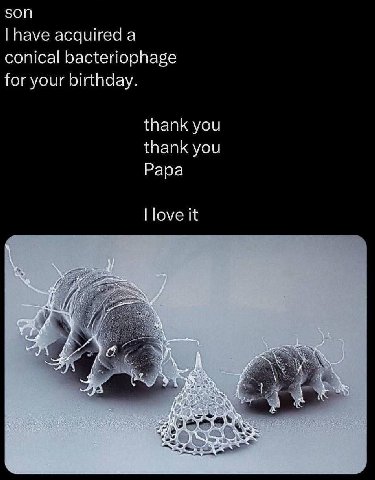son have acquired a conical bacteriophage for your birthday. thank you thank you Papa love it