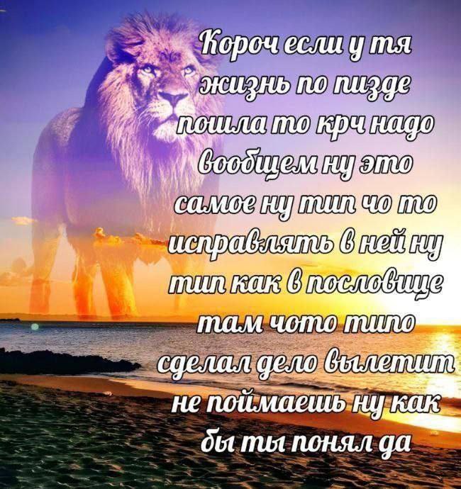 если у по пизде MAM чото типо сделал дело не поимаешь как ты понял да