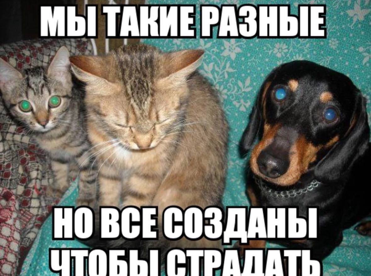 МЫ ТАКИЕ РАЗНЫЕ 4 a BCE СОЗДАНЫ CTPANATh