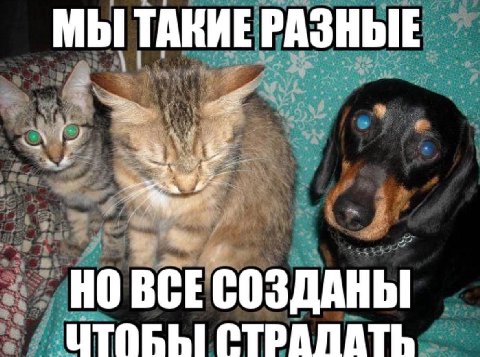 МЫ ТАКИЕ РАЗНЫЕ 4 a BCE СОЗДАНЫ CTPANATh