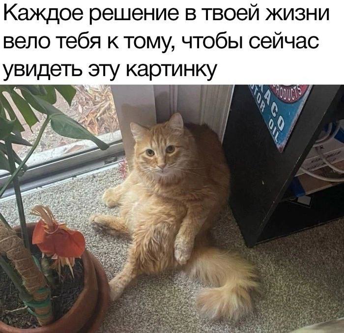 Каждое решение в твоей жизни вело тебя к тому, чтобы сейчас увидеть эту картинку