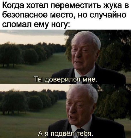 Когда хотел переместить жука в безопасное место, но случайно сломал ему ногу: Ты доверился мне. А я подвёл тебя.