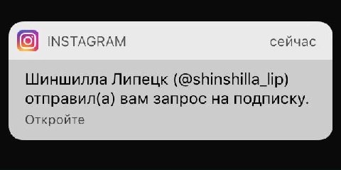 всегда жалела, что я не травести-дива, а сегодня утром еще и имя подходящее само меня нашло