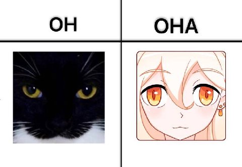 OHA