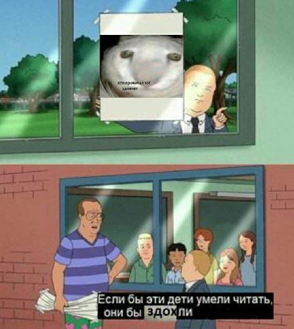 A прочитал tor ‘a Если бы эти дети умели они бы «ЛИ