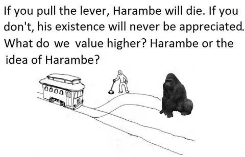 If you pull the lever, Harambe will die. If you don't, his existence will never be appreciated. What we value higher? Harambe or the idea of Harambe? А