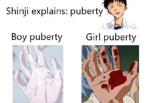 Shinji explains: puberty Boy puberty Girl puberty 4