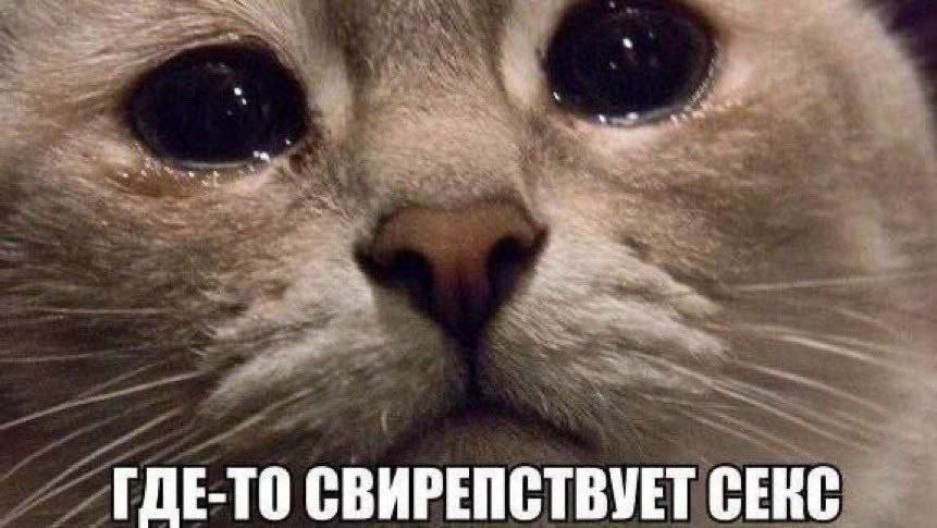 ГДЕ-ТО СВИРЕПСТВУЕТ СЕКС