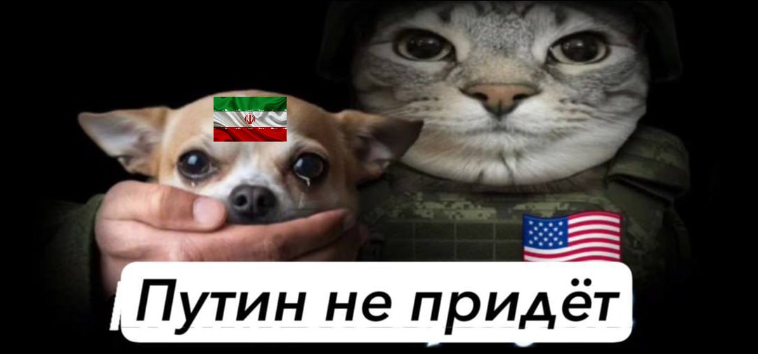 Путин не придет