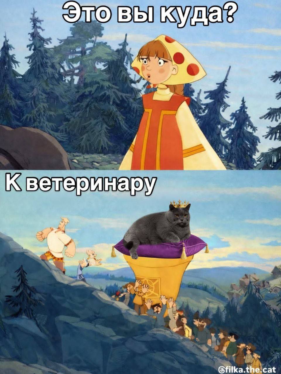 куда? К ветеринару Gfitka.the.cat
