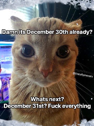 Damn its December already? Whats next? December Fuck everything