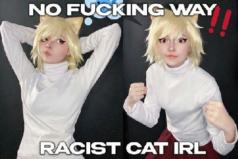 NO FUCKING RACIST CAT IRE