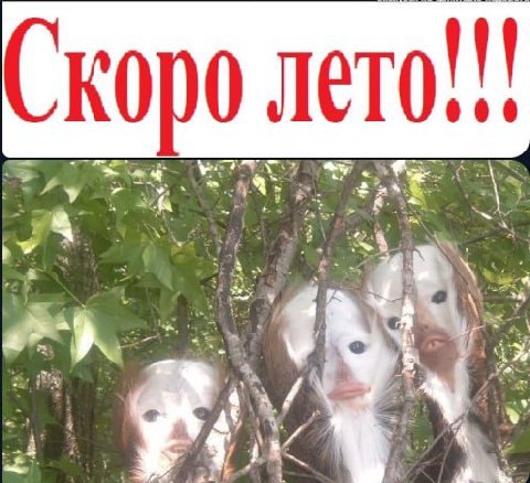 |1! (Скоро лето alae