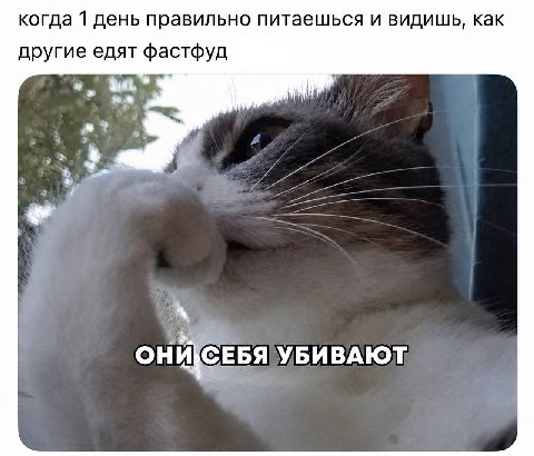 когда 1 день правильно питаешься и видишь, как другие едят Фастфуд УБИВАЮТ: ОНИ