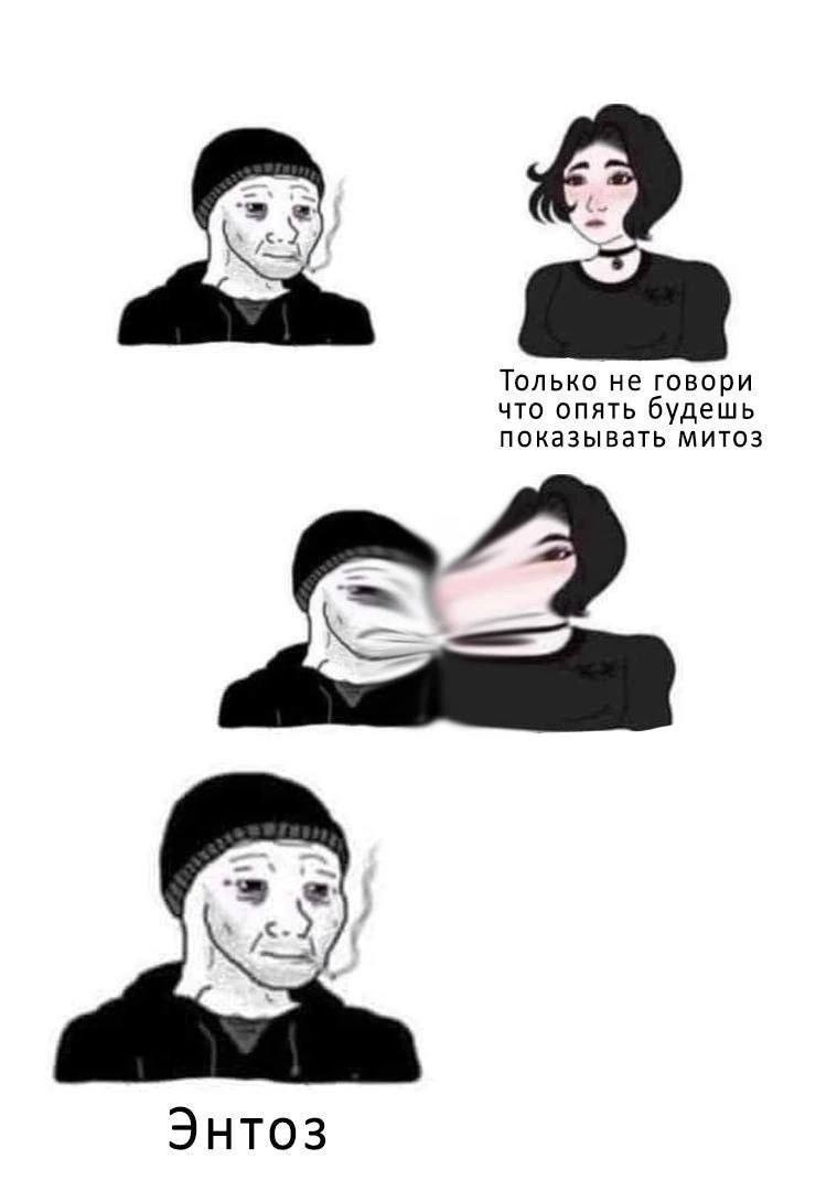 Только не говори что опять будешь показывать митоз Энтоз