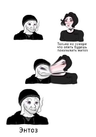 Только не говори что опять будешь показывать митоз Энтоз