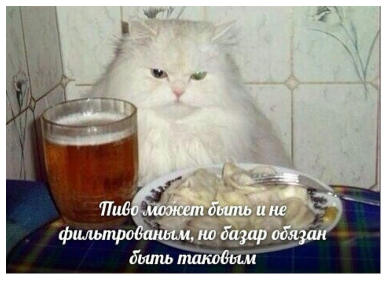 Тибо может и не фильтробаньем, но базар обязан