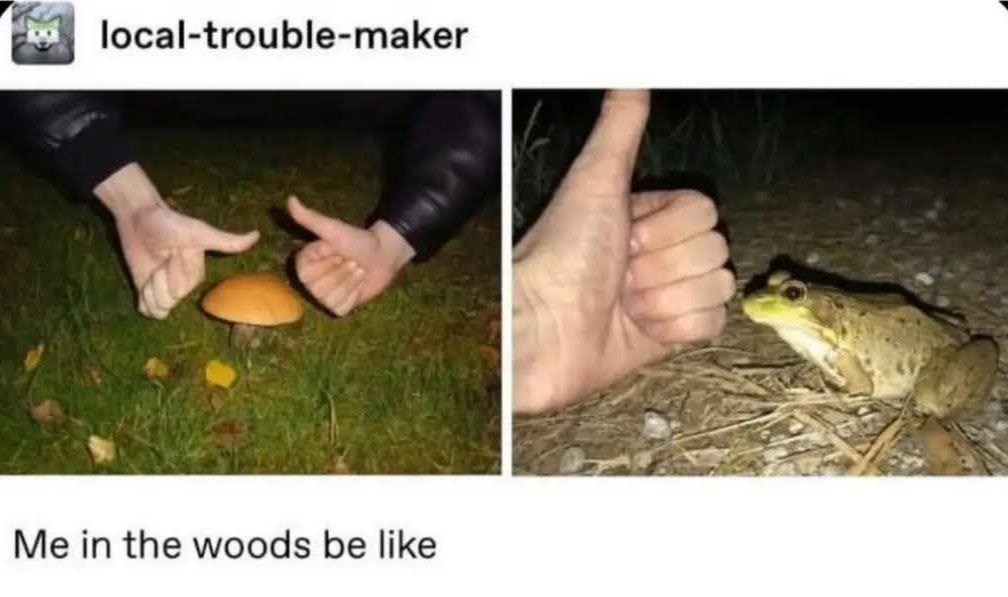 local-trouble-maker Me in the woods be like